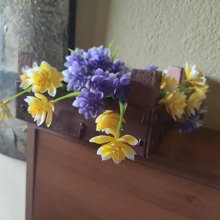 Affitti Brevi Casa Principessa Maria * Barùmini